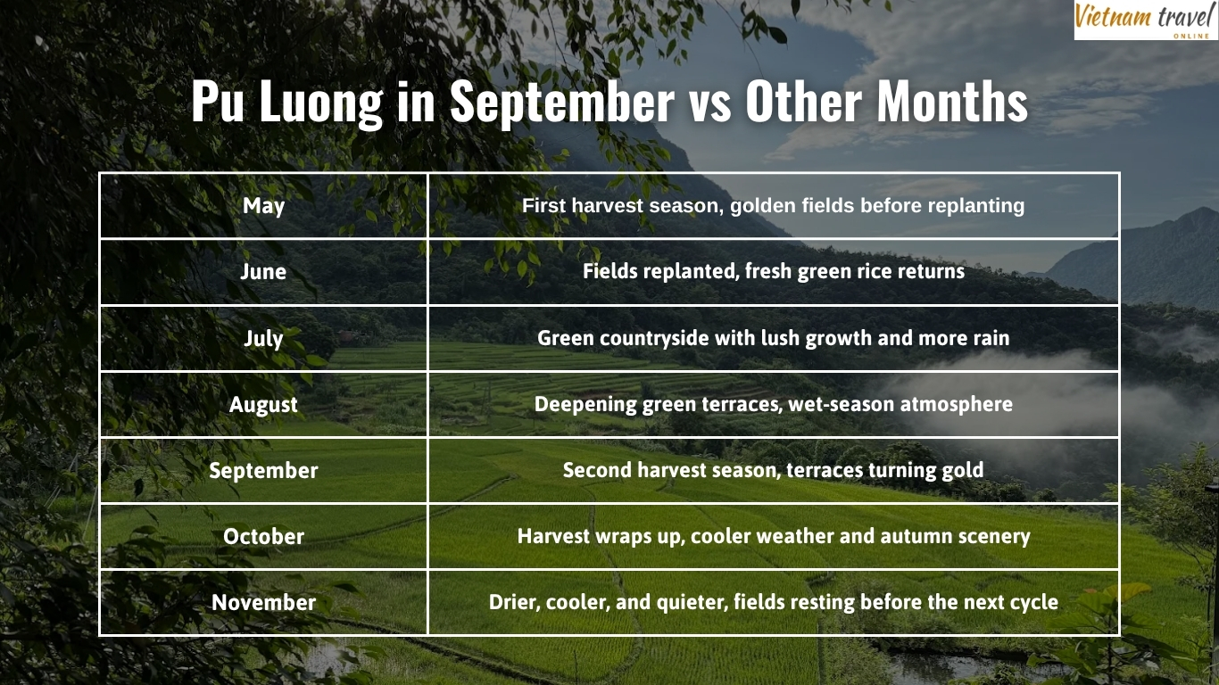 Pu Luong in September vs Other Months comparison
