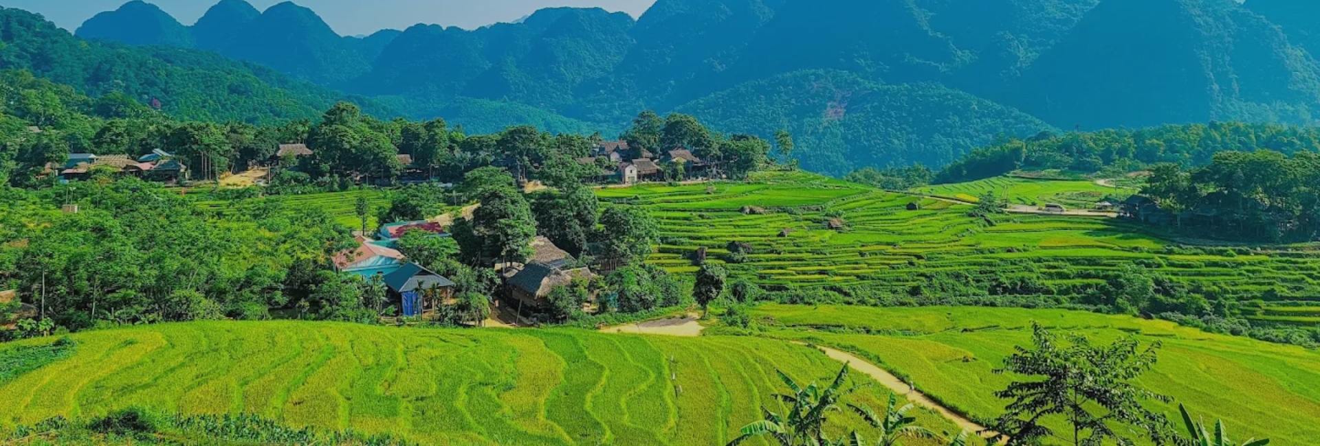 Pu Luong in September: Weather, Rice Fields & Travel Guide