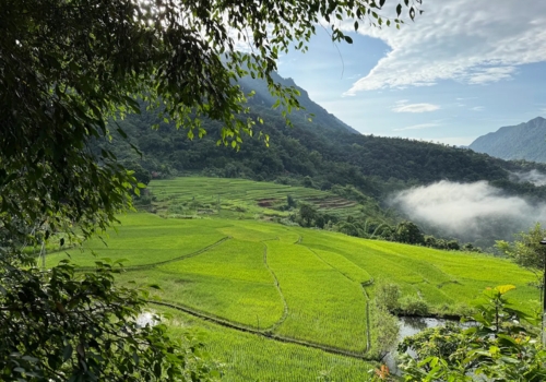 Pu Luong in September: Weather, Rice Fields & Travel Guide