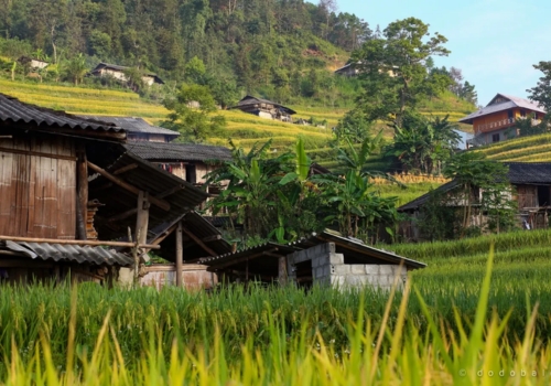 Sapa in September: Weather, Rice Fields and Complete Travel Guide