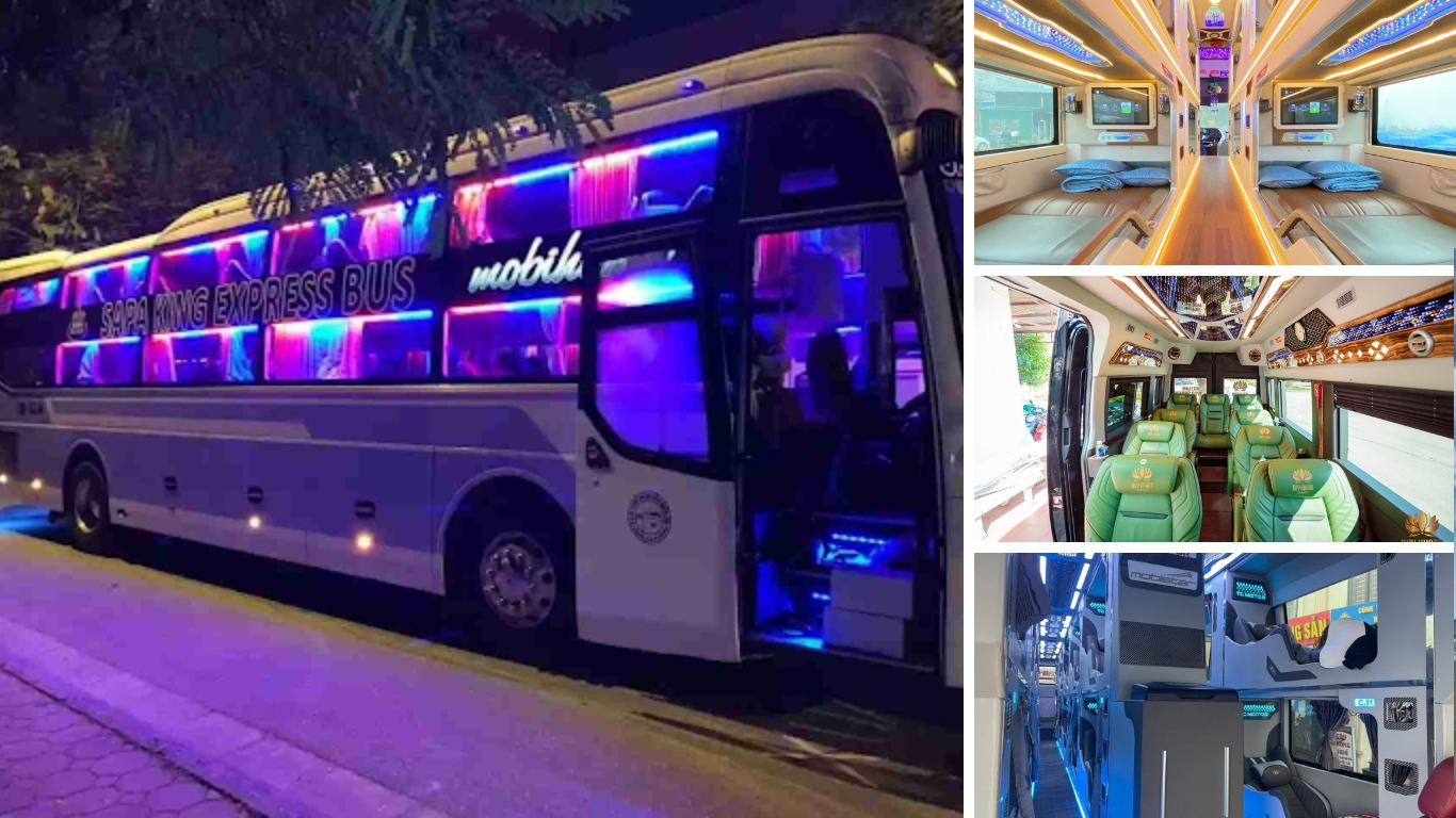 Sleeper bus and cabin interior for Sapa route