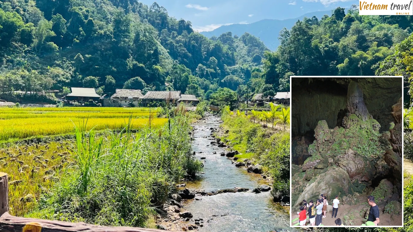 Golden rice fields and stream trekking route through Pu Luong villages