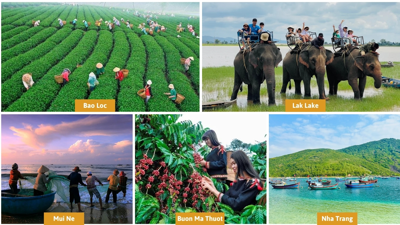 Collage of destinations near Da Lat showing Bao Loc tea plantation workers, elephant riders at Lak Lake, fishermen at Mui Ne beach, coffee pickers in Buon Ma Thuot, and boats in Nha Trang bay