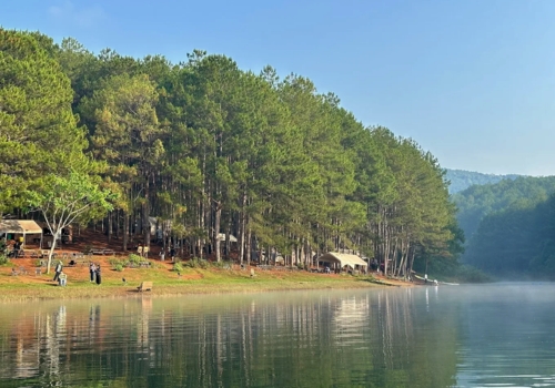 Da Lat Travel Guide: Everything You Need to Know Before Visiting Vietnam’s City of Eternal Spring