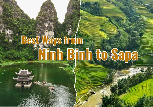 How to Travel from Ninh Binh to Sapa (2026 Update): Best Routes, Prices & Insider Tips