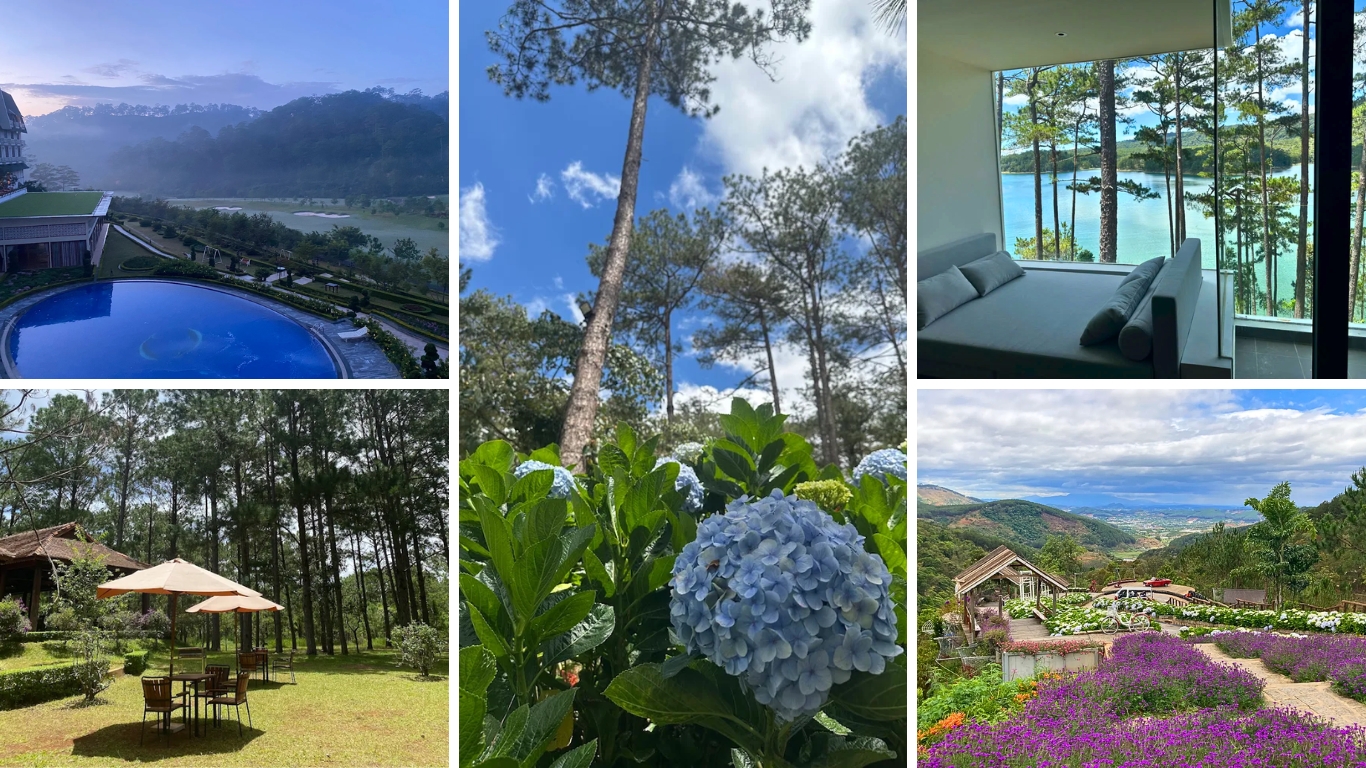 Da Lat accommodation collage showing a resort pool with mountain views, hydrangea flowers in a pine forest, a lakeside hotel room, a garden lounge area, and a hillside flower farm